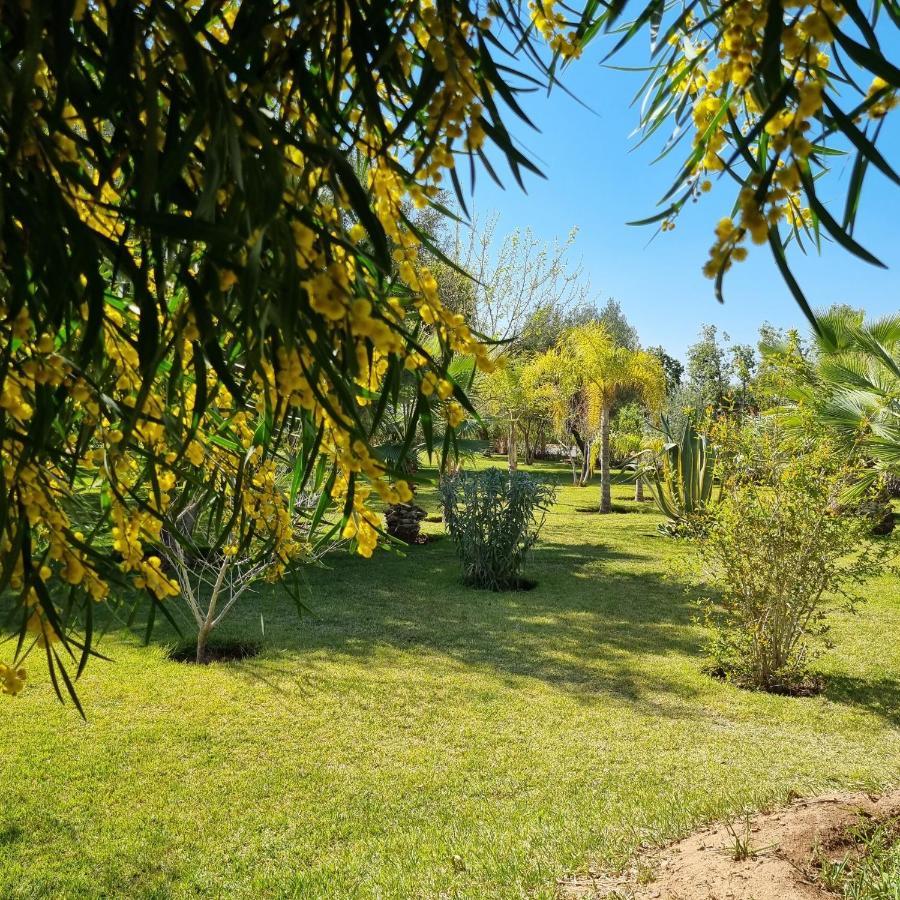 Riad Les Deux Citronniers Marrakesh Luaran gambar