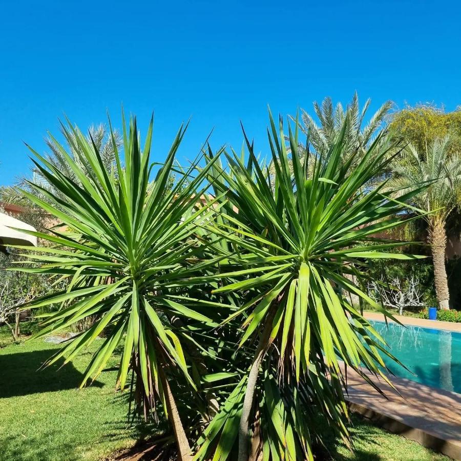 Riad Les Deux Citronniers Marrakesh Luaran gambar