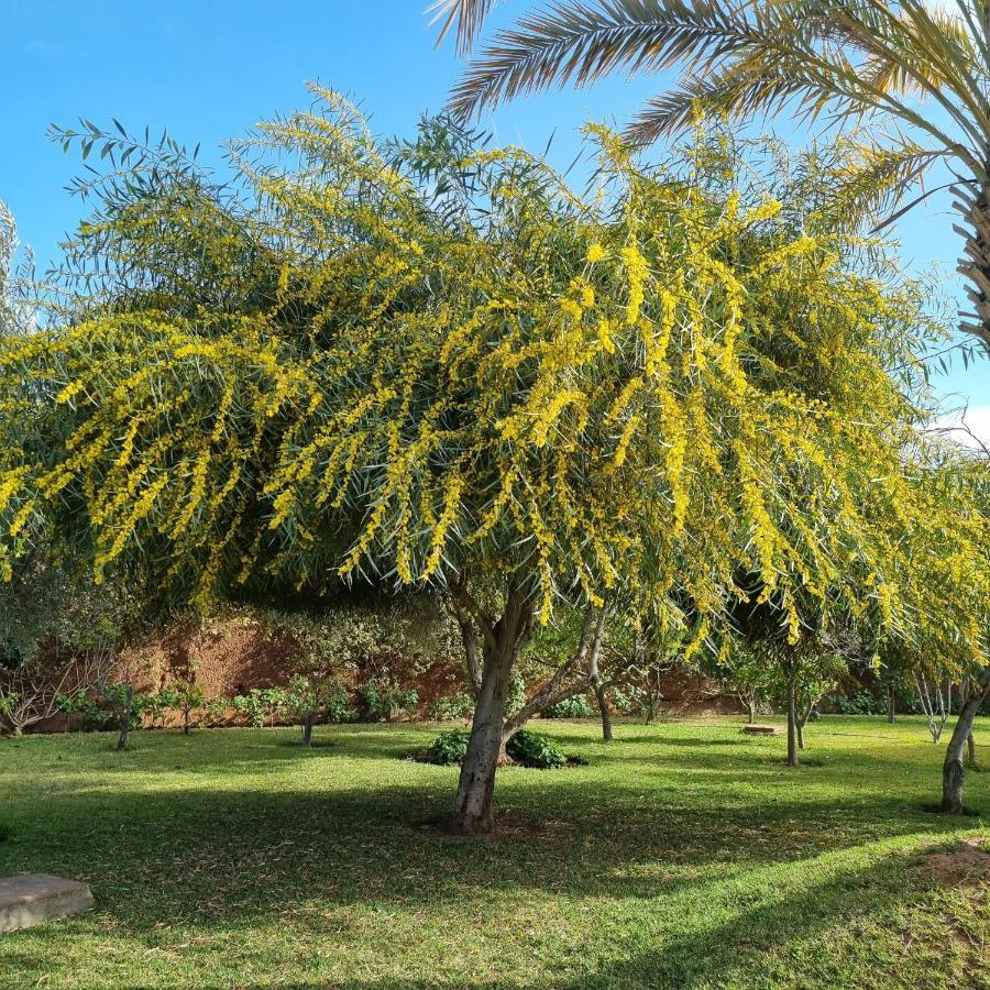 Riad Les Deux Citronniers Marrakesh Luaran gambar