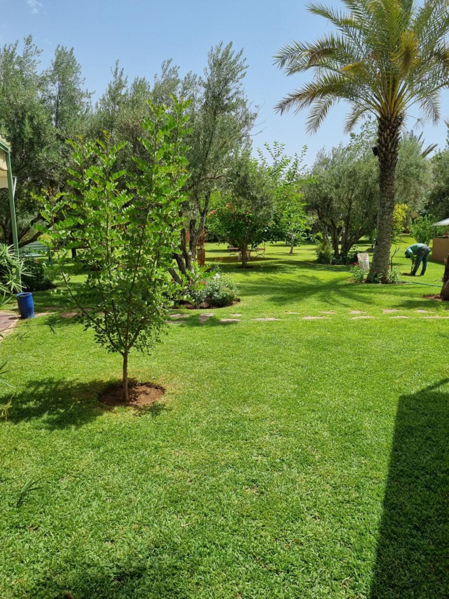 Riad Les Deux Citronniers Marrakesh Bilik gambar